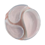 اردو خوری 3 قسمتی پلاستیکی مدل ترنج برند ونوس - Image 2